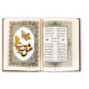 The Divan of Hafez Shirazi Book with Box (Farsi)