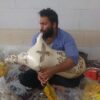 Professional Persian Goat Bagpipe - Ney Anban