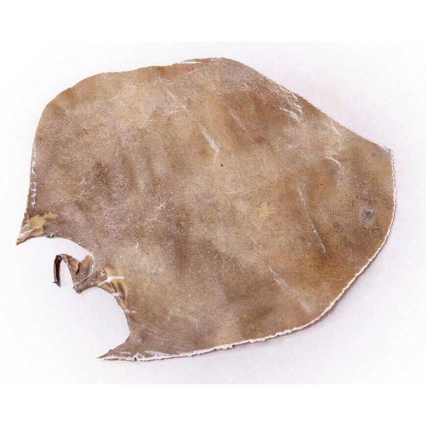 Natural Camel Skin For Persian Tombak