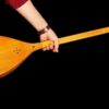 Persian Dutar Instrument by Master Akbari, High-Quality