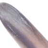 Mezrab Pick for Persian Tar Model Horn (2x)