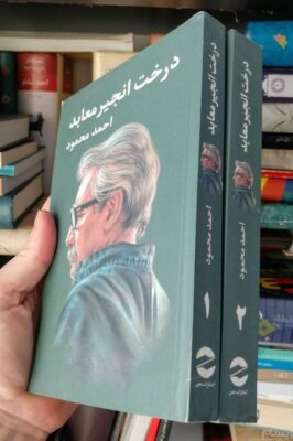 The Fig Tree of The Temples by Ahmed Mahmoud 2 Vols (Farsi)