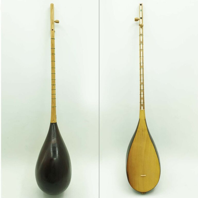 Persian Dotar Instrument Model Shomalkhorasan 12 ShopiPersia