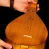 Persian Dutar Instrument by Master Akbari, High-Quality
