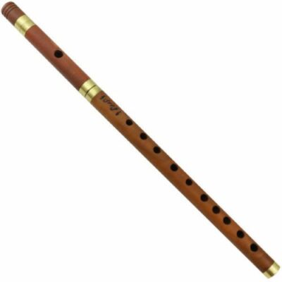 Persian Flute Woodwind Ali Mosavi 2 Stamps La Tuning