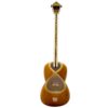 Persian Tar String Instrument – Handcrafted by IranSaz, Model Firoozeh