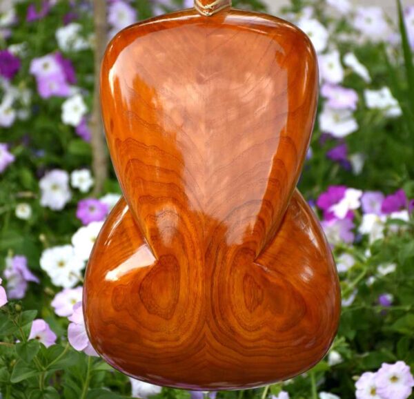 Persian Tar IranSaz Model Azarakhsh