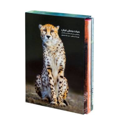 Wildlife of Iran, Where and how to watch and photograph