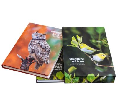 Wildlife of Iran, Where and how to watch and photograph