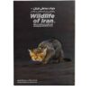Wildlife of Iran, Where and how to watch and photograph