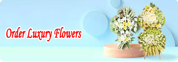 Order gift flower to Iran