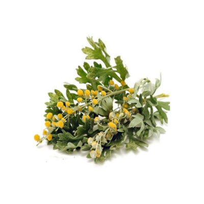 Dried Wormwood (Artemisia absinthium) – 600g Premium Herbal Bitter