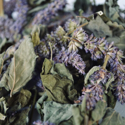 Dried Hyssop Herb (Hyssopus officinalis) – 700g Premium Aromatic Herb