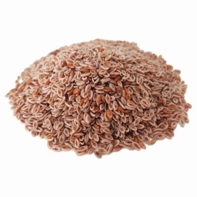 Dried Ispaghula Seeds (Psyllium) – 600 Gram