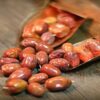 Dried Oleaster (Russian Olive Fruits) - 2500 grams