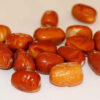 Dried Oleaster Powder (Russian Olive) - 800 grams