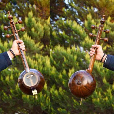 Persian Kamancheh by Bajalavand – Model 20Tar