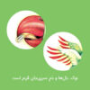 Persian Concept Book for Kids - Good friends