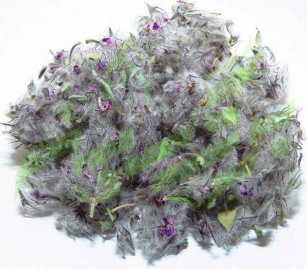 Dried Stachys lavandulifolia Chaye-e-Kohi 800 Gram