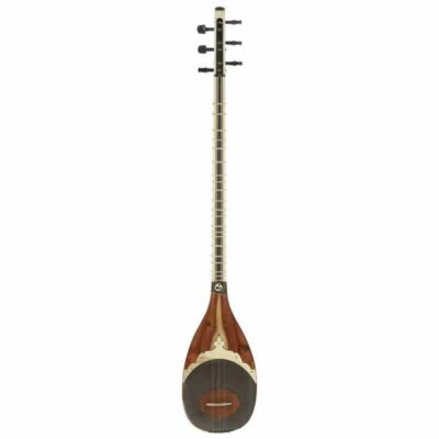Persian Shurangiz Avayeh Molana String Instrument – Model Shayan
