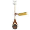 Persian Shurangiz Avayeh Molana String Instrument – Model Shayan