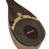 Persian Shurangiz Avayeh Molana String Instrument – Model Aflak