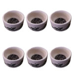 Set of 6 Decorative Persian Siah Ghalam Ceramic Bowl