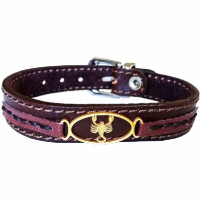 Persian Leather Bracelet for Men and Women – Aban Symbol