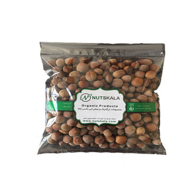 Shelled Raw Persian Hazelnuts – 500 grams