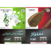Simplified Persian Tanbour & Music Theory – Complete 5 DVD Course