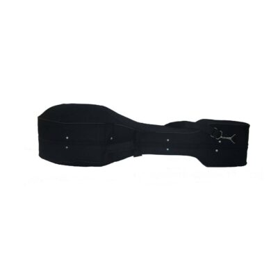 Hard Case for Persian Tar With Foam and Fabric Covering