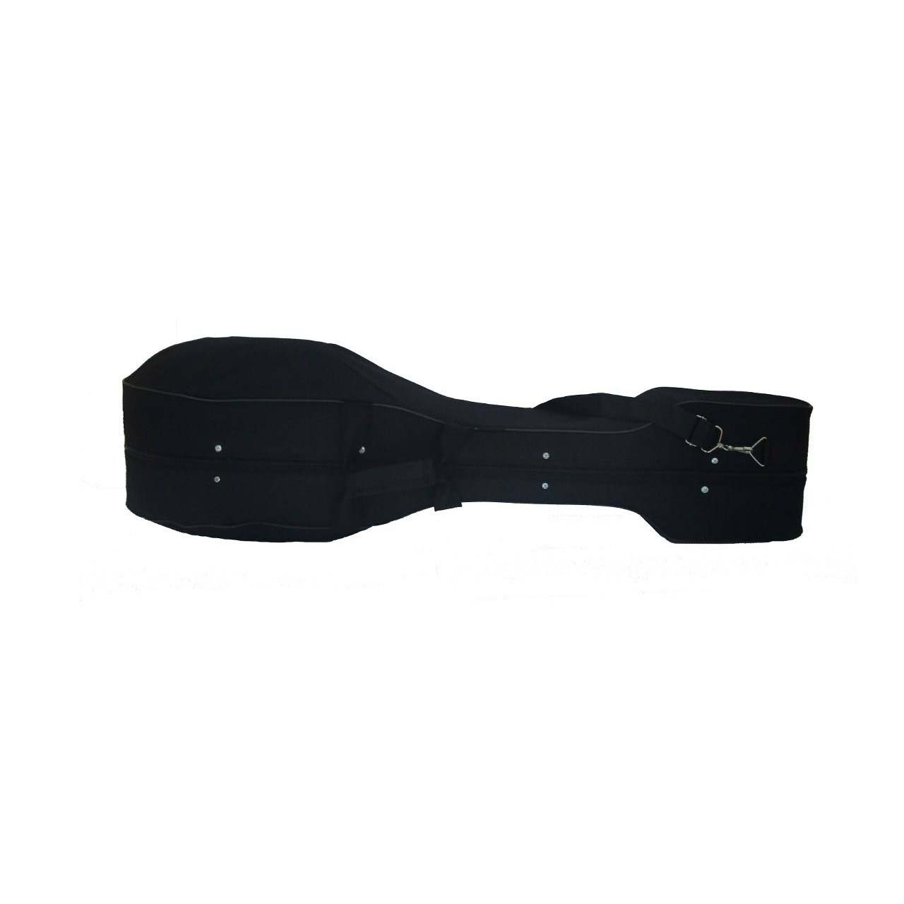Hard Case for Persian Tar With Foam and Fabric Covering
