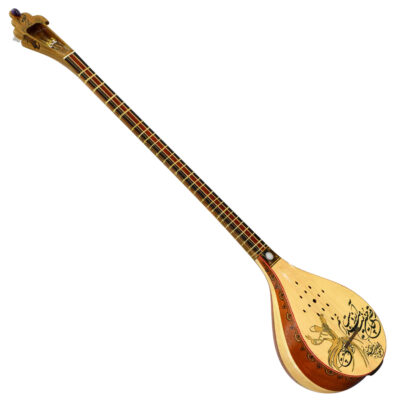 Iranian Setar – Handcrafted by Iransaz, Model Sama (Advanced)