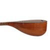 Persian Tanbur Tanboor Instrument by Maftahi, 1 Stamp