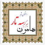 High Quality Tailpiece for Persian Setar