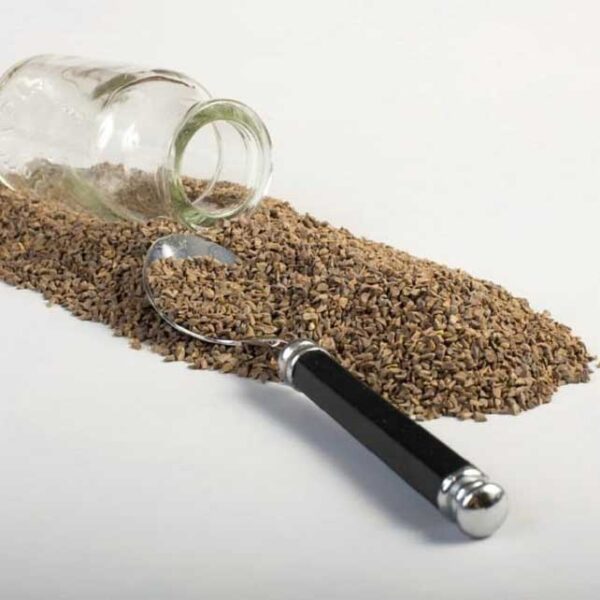 Peganum Harmala Seeds (Steppenraute) - 600 Gram