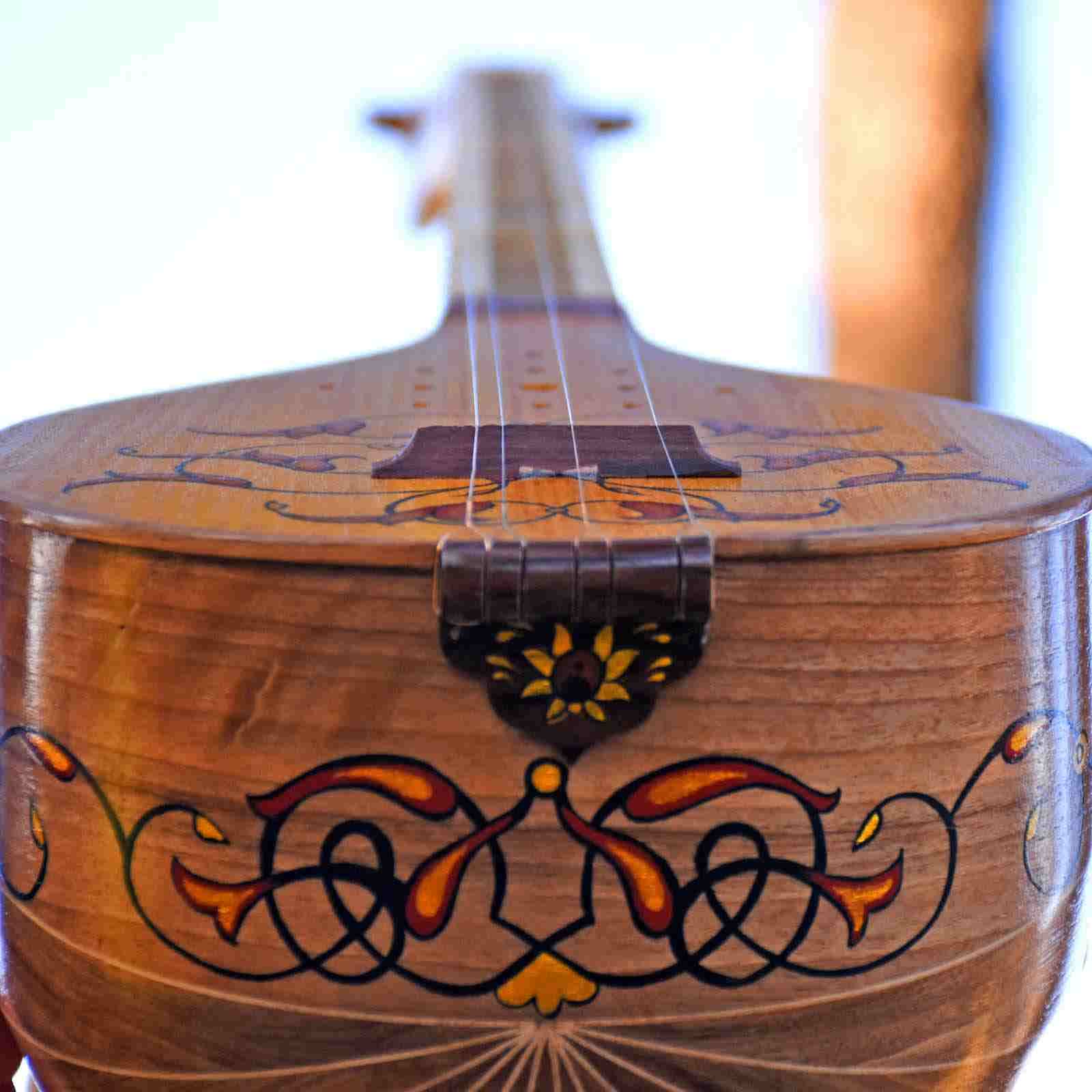 Iranian Setar – Handcrafted by Iransaz, Model Berna (Expert Level)