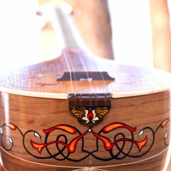 Iranian Setar Iransaz Model Behrad