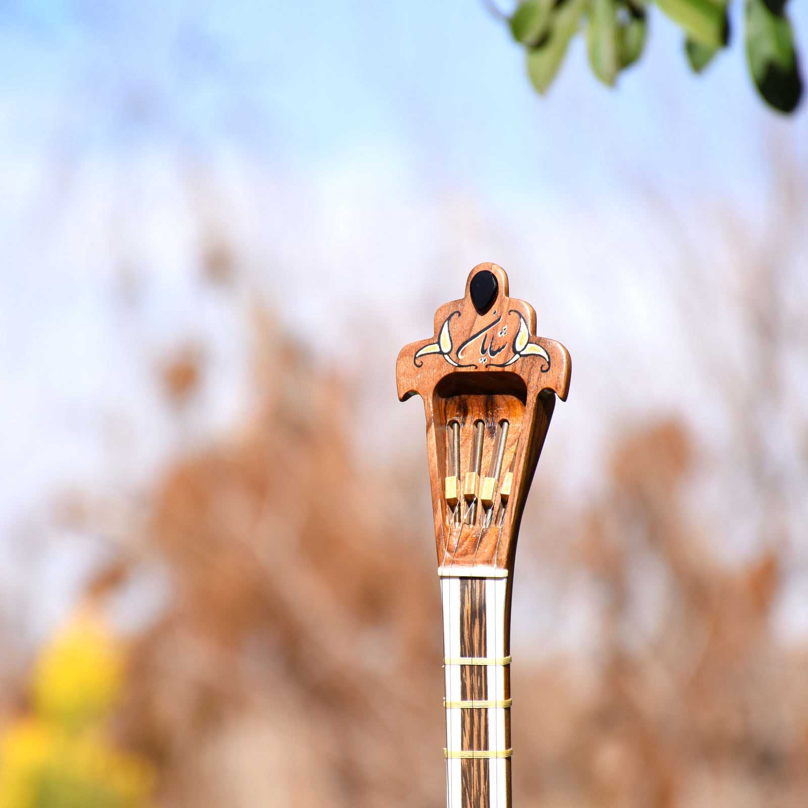 Persian Setar by Iransaz, Model Shayan (For Professionals)