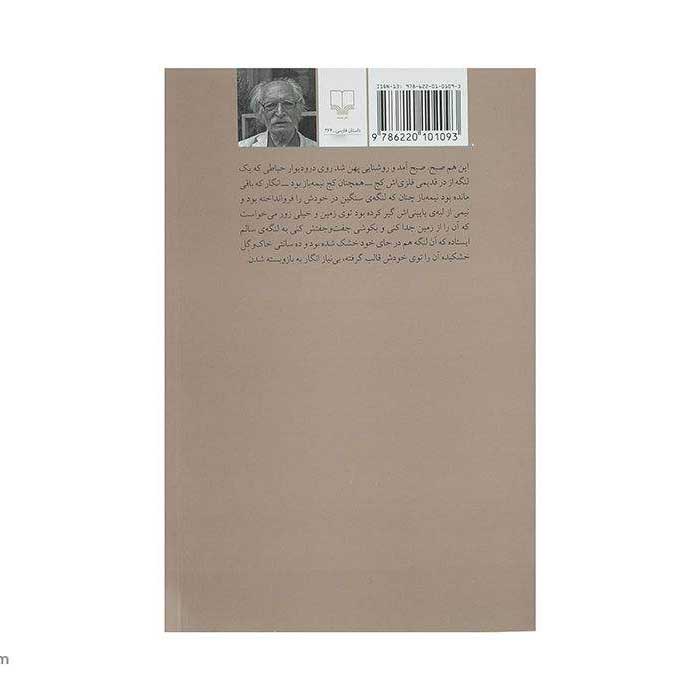 Birune Dar Farsi Book by Mahmoud Dowlatabadi