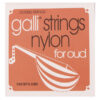 Pack of Strings for Oud Instrument Gali N0200