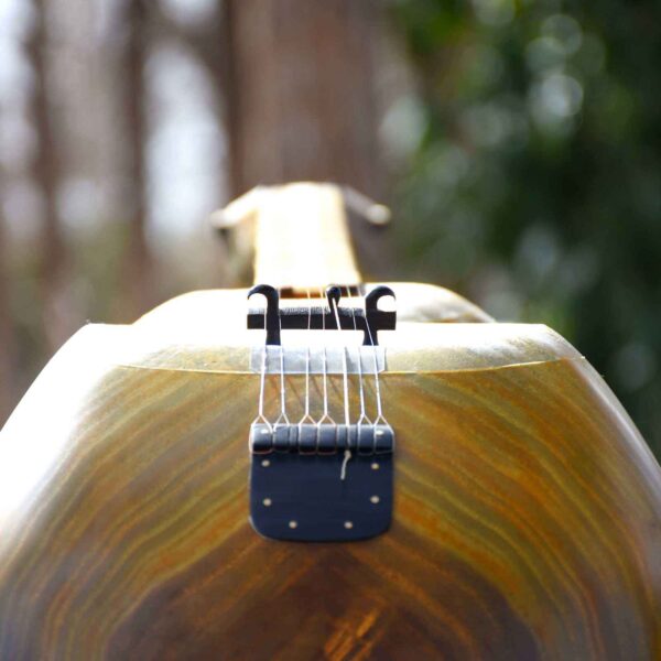 Persian Tar String Instrument – Handcrafted by IranSaz, Model Pasargad ...