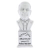 Majid Samii Bust Statue Iranian neurosurgeon