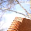Persian Santur – Handcrafted Hammered Dulcimer by IranSaz, Surena