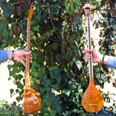 Handcrafted Persian Setar – Model Hamon by Iransaz