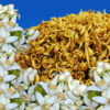 Dried Orange Blossom Flower Petals 700 grams