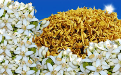 Dried Orange Blossom Flower Petals 700 grams
