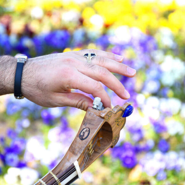 Persian Tar String Instrument Model Shahkar