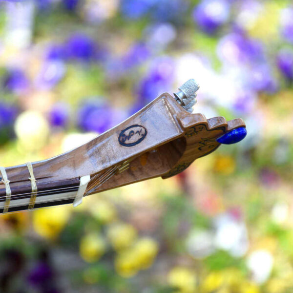 Persian Tar String Instrument Model Shahkar