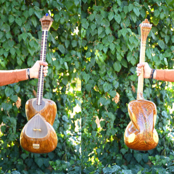 Persian Tar String Instrument Model Shahkar